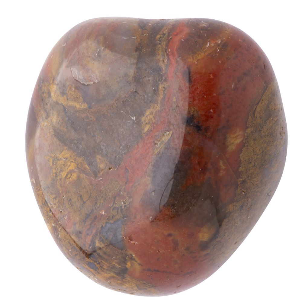 Petrified Wood Tumblestone